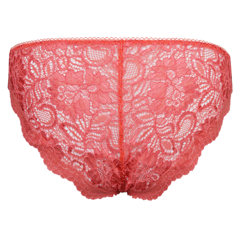 Willow Lace Brief